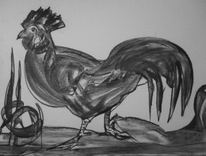 Gallo